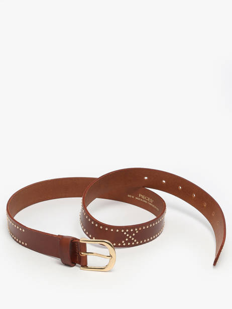 Riem Pieces Bruin june 17160105 ander zicht 3